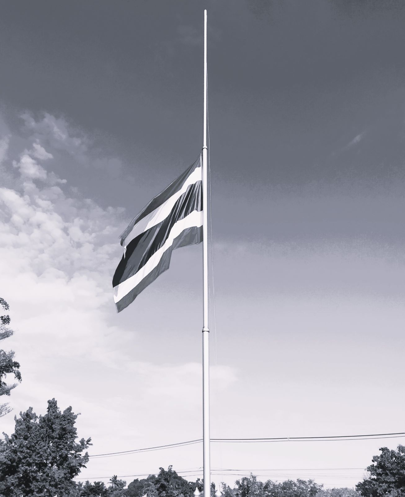 239987-07-(2).jpg