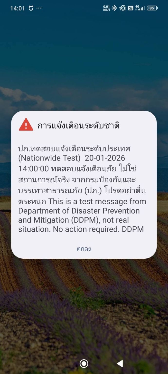 04.jpg