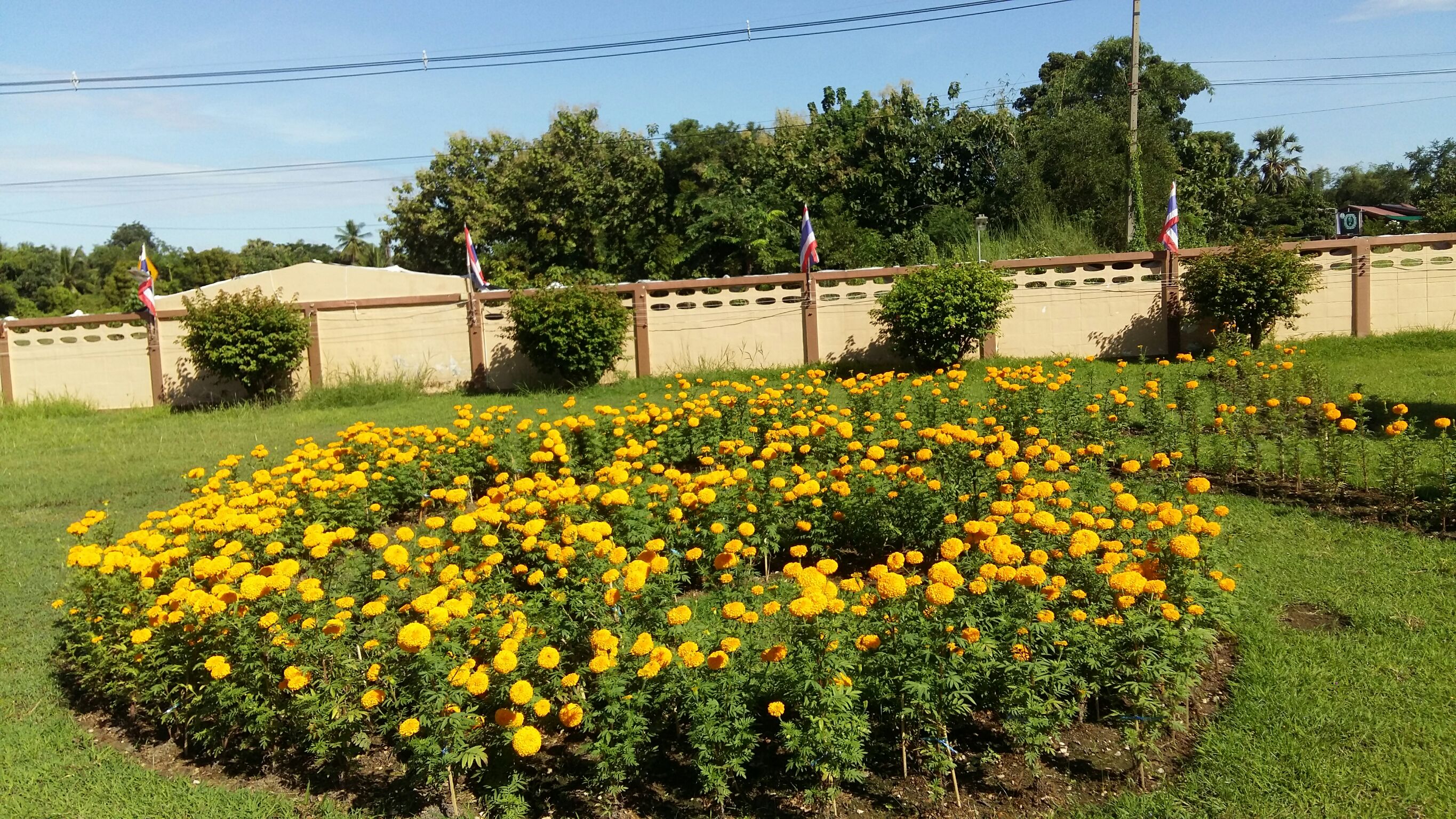 868571.jpg